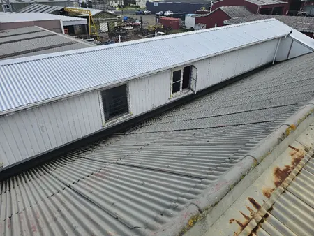 The old corrugated roof at Snow Bros, Dargaville, with rust along the edge